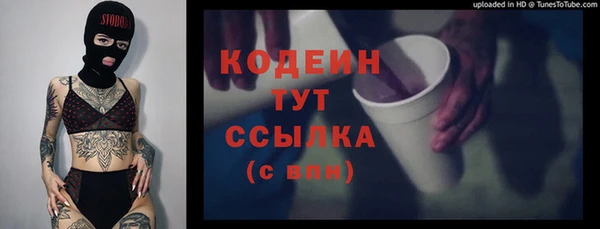 гидропоника Горняк