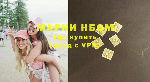 гидропоника Горняк