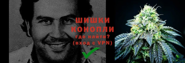 гидропоника Горняк